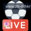 华体会 logo