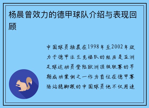 杨晨曾效力的德甲球队介绍与表现回顾
